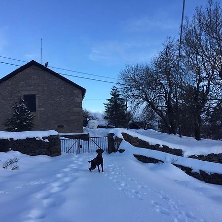 Mountain House/ Serra Da Estrela Пенняш-да-Сауде Екстер'єр фото